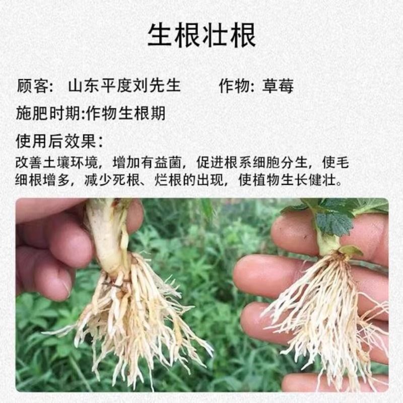 沃根绿叶彭果钾大生根壮苗水溶肥料高钾果树蔬菜专用膨果海藻高磷