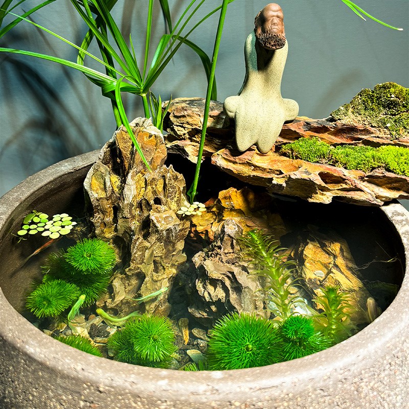 古法养鱼大缸黑色复古紫砂防水景德镇陶瓷睡莲盆荷花专用花盆水缸