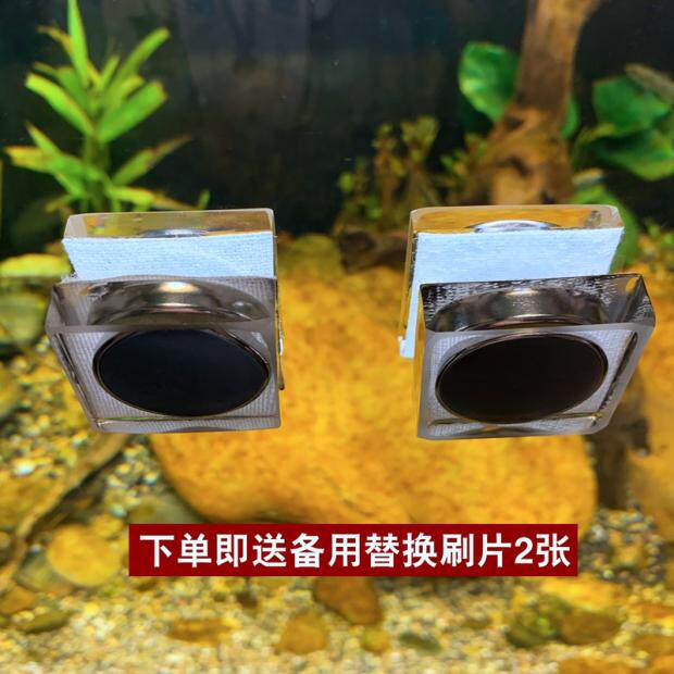 磁力刷鱼缸玻璃擦双面清理刷迷你草鱼海缸刷擦除藻强磁清洁工具刷