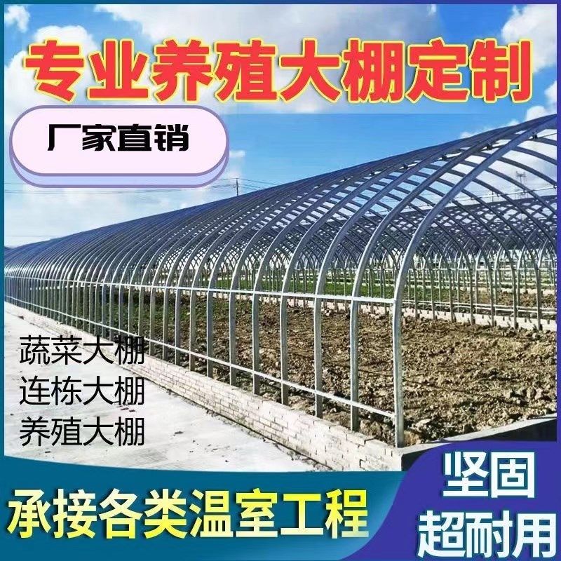 种植蔬菜保温大棚钢架镀锌椭圆管暖棚水产育苗养殖连体棚骨架全套