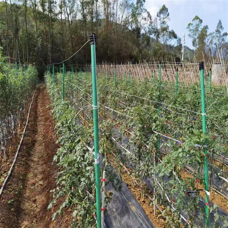 农用玻璃纤维包毡管百香果种植遮阳网立柱空心管蔬菜爬藤支架骨架