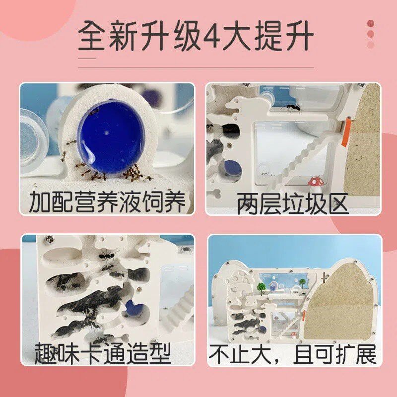 蚂蚁城堡送蚁后宠物庄园大型巢生态箱农场蚂蚁工坊蚁窝王国饲养盒