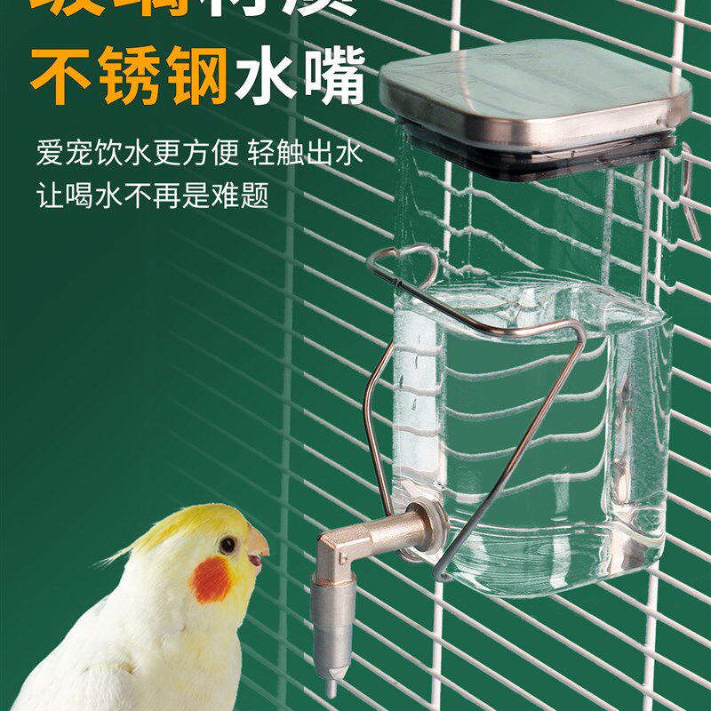 蜜袋鼯撞针水壶龙猫自动喂水器花枝鼠兔子鹦鹉玻璃饮水器静音出水