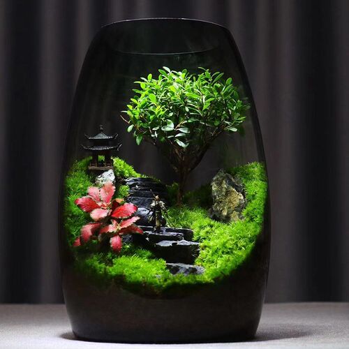 【步步高升】苔藓微景观植物盆景办公室桌面生态缸摆件绿植生态瓶