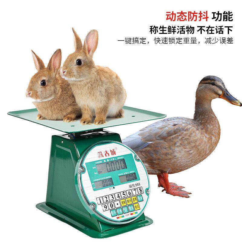 星春城60kg公斤电子度盘秤老式指针秤电子计价秤台秤计数称商用称