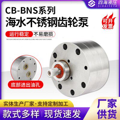 CB-BNS系列海水不锈钢齿轮泵 化工泵 不锈钢齿轮油泵