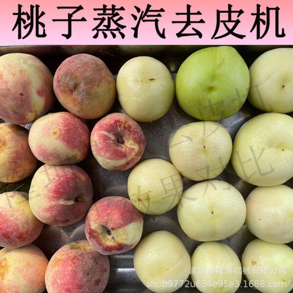 桃子黄桃全自动去皮机 陕西富平县柿饼削皮机 多功能果蔬去皮设备