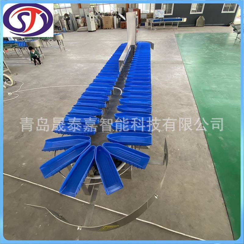 云南水果玉米重量分选机鲅鱼自动分拣机马鲛鱼带鱼称重分级秤