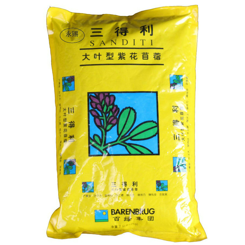 牧草种子皇后紫花苜蓿种籽三得利赛迪游客进口高产紫花苜蓿种子