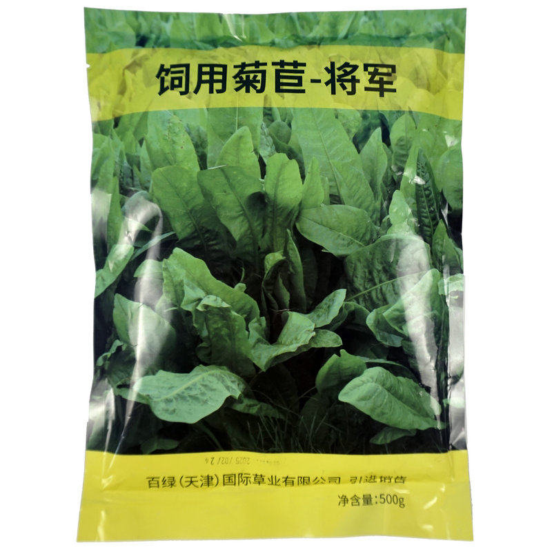 进口将军菊苣种籽多年生兔子猪牛鱼鸡鸭鹅爱吃的养殖四季牧草种子