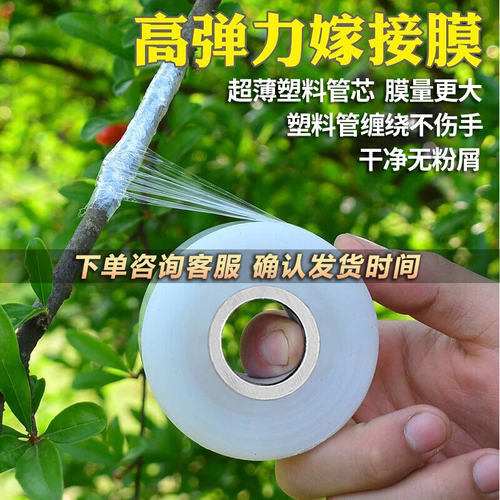 吾久包装自粘PE果树嫁接膜