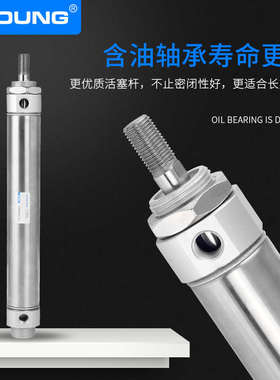 XYOUNG气动不锈钢迷你气缸CDM2B40-50带磁迷你气缸CM2B40-100Z