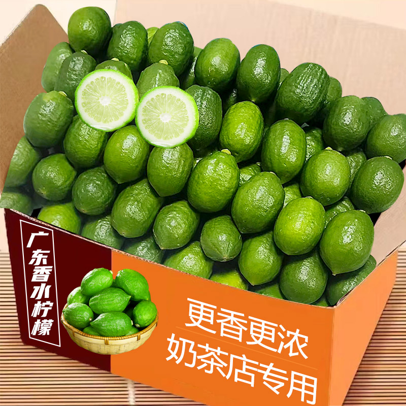 2026现摘正宗广东香水柠檬手打柠檬茶奶茶店专用新鲜柠檬当季包邮