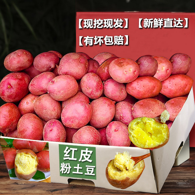 红皮土豆5斤，粉糯沙甜，好吃！