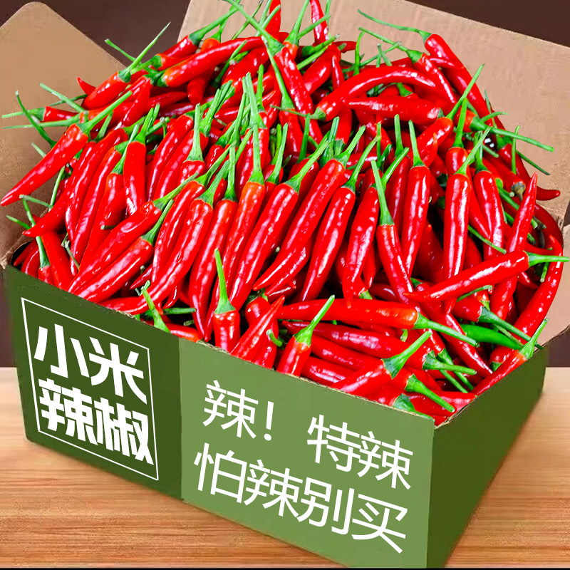 当季小米辣椒新鲜特辣朝天小米椒红椒指薄皮辣椒农家自种商用批发