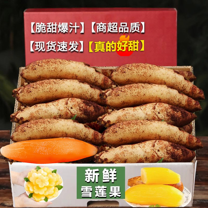 雪莲果1斤试吃,特价,仅限1单!