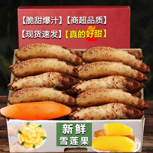 雪莲果1斤试吃，特价，仅限1单！