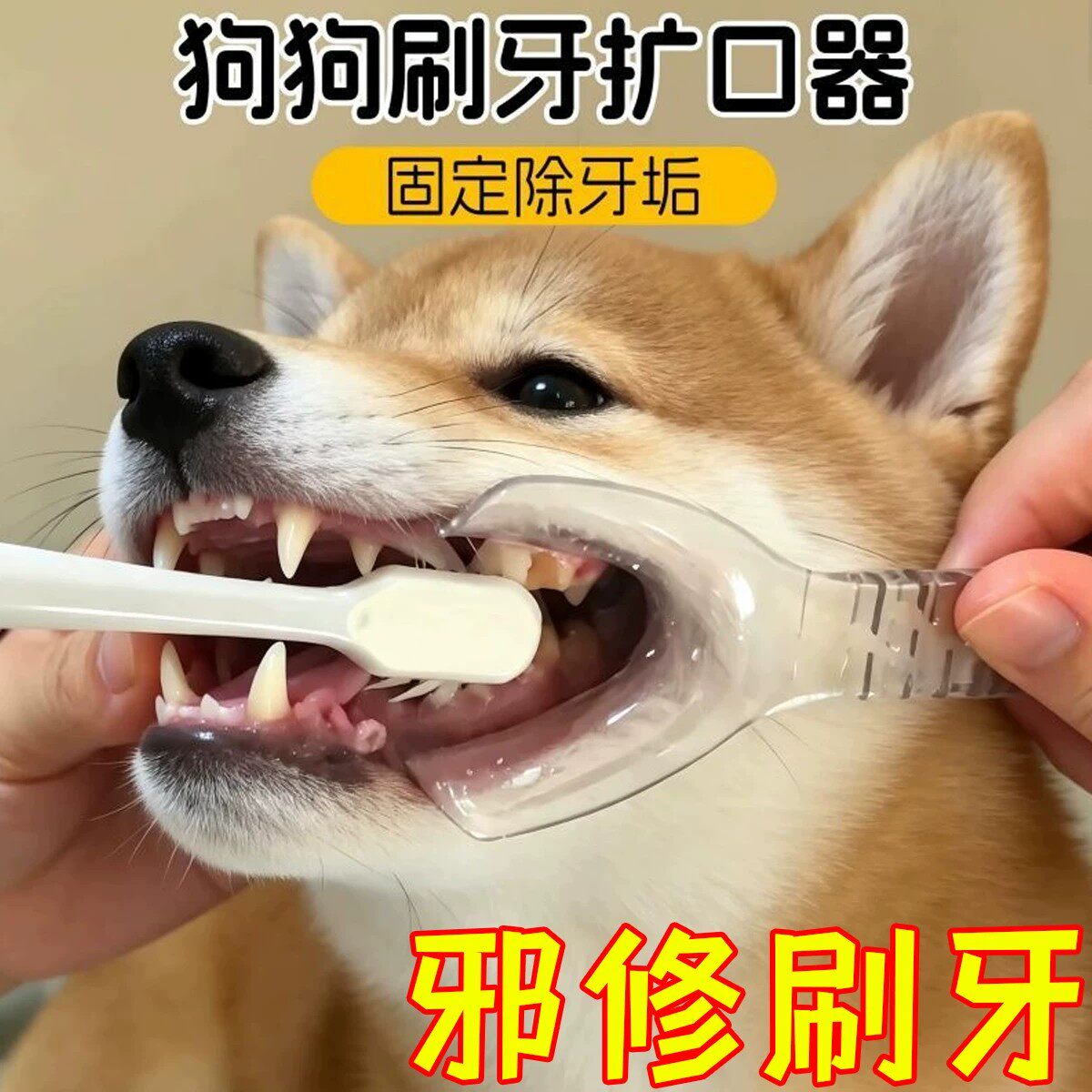 猫咪刷牙开口神器口腔扩口器宠物狗狗清洁牙齿辅助器耐高温易清洗