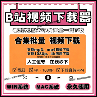 b站视频下载器哔哩哔哩bilibili视频下载素材批量工具mp4格式转换