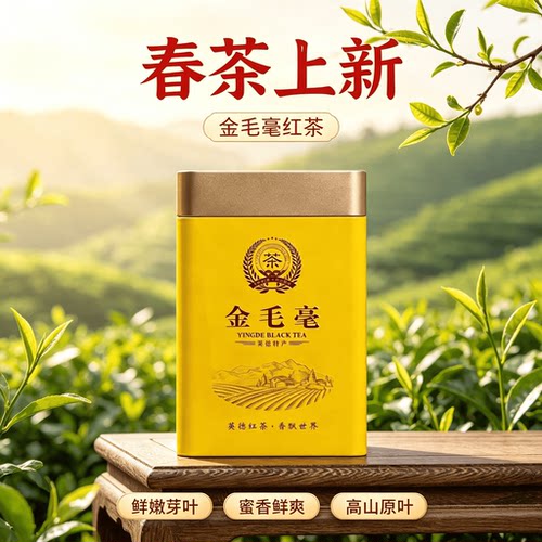 高山老树英德原产一级产区红茶英红九号浓香型春茶金毛豪新茶250g