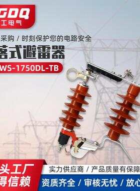跌落式避雷器HY5WS-17/50DL-TB10V高压可卸式氧化锌避雷器