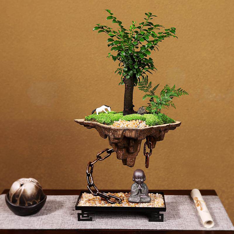 小叶紫檀盆栽室内客厅办公室展厅装饰艺术创意天空之城悬浮盆景