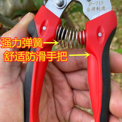 佐川田进口钢加长火龙果专用修枝剪枝条家用花草不锈钢平口剪刀