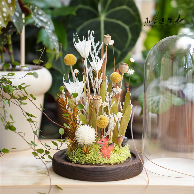 干花永生花玻璃罩植物标本微景观办公桌书房摆件自然森系礼物