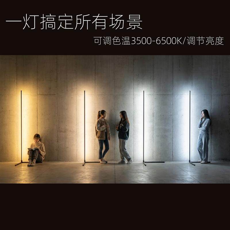 极简线条落地灯炫彩创意拍照北欧沙发墙角卧室床头灯客厅气氛灯