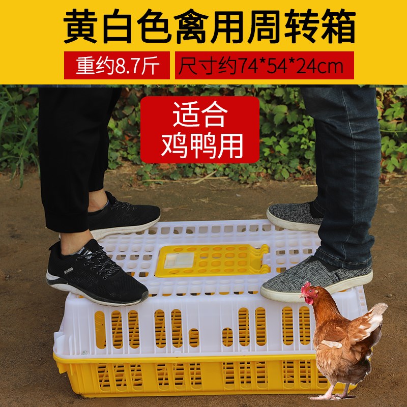 鸡笼周转箱塑料运输笼子成鸡鸭鹅周转筐鸡用运输筐加厚装兔笼鸽笼