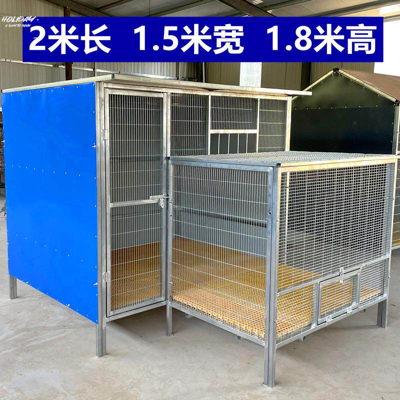 。鸽子棚室外养鸽子的笼子家用户外白鸽信鸽养殖笼配对繁殖笼特大