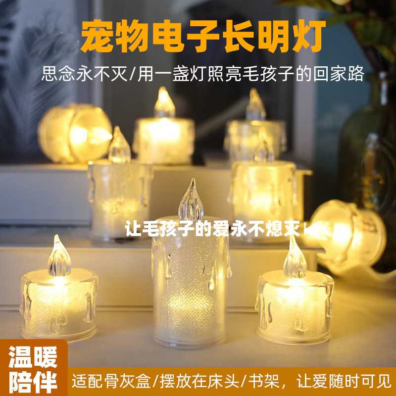 宠物电子长明灯桌面摆件毛孩子去世留念永生纪念灯狗狗小猫咪礼物