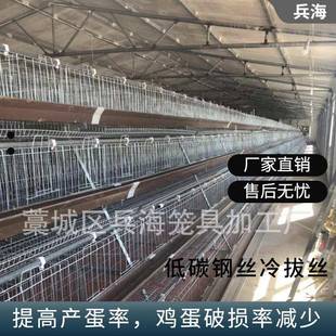 A型蛋鸡笼多种尺寸规格半自动化养殖设备厂家直供 三层五门阶梯式