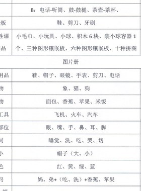极速S-Se法儿童语言发育迟缓检查用具评估工具箱套装言语发育SS法