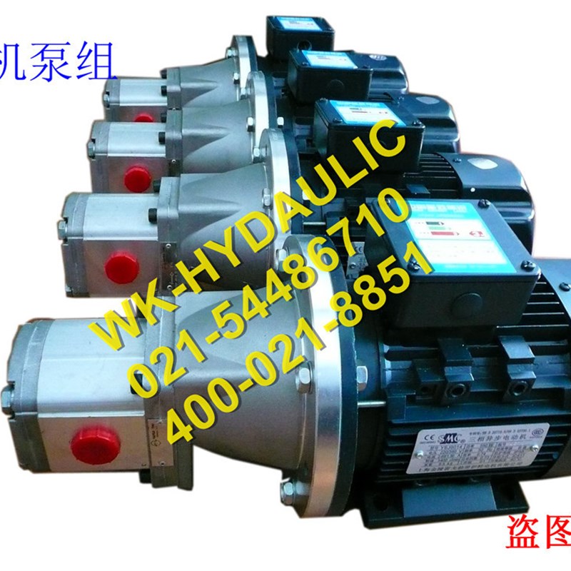 极速W-fy 高压W10-电机齿轮泵组, 270