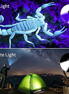 极速Ultraviolet White Lamp Double Lamp RetMractable Flashlig