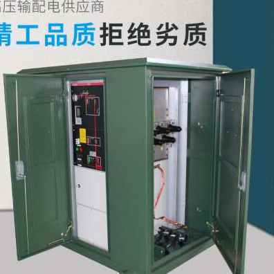 极速新款厂e促逸特10KV高压开关柜环网柜充气柜成套配电柜开闭所
