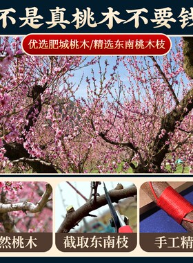 新品天然桃木枝挂件棍葫芦剑钥匙扣桃树东南枝条手工原Z木婴儿儿