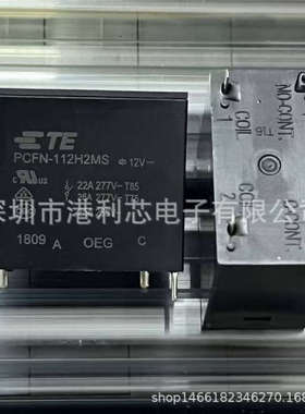 PCFN-112H2MS  全新直插功率继电器DIP4 公司现货 支持终端工厂
