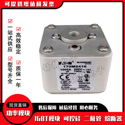 熔断器170M5438 170M5439 170M5440 170M5441 170M5442 170M5443