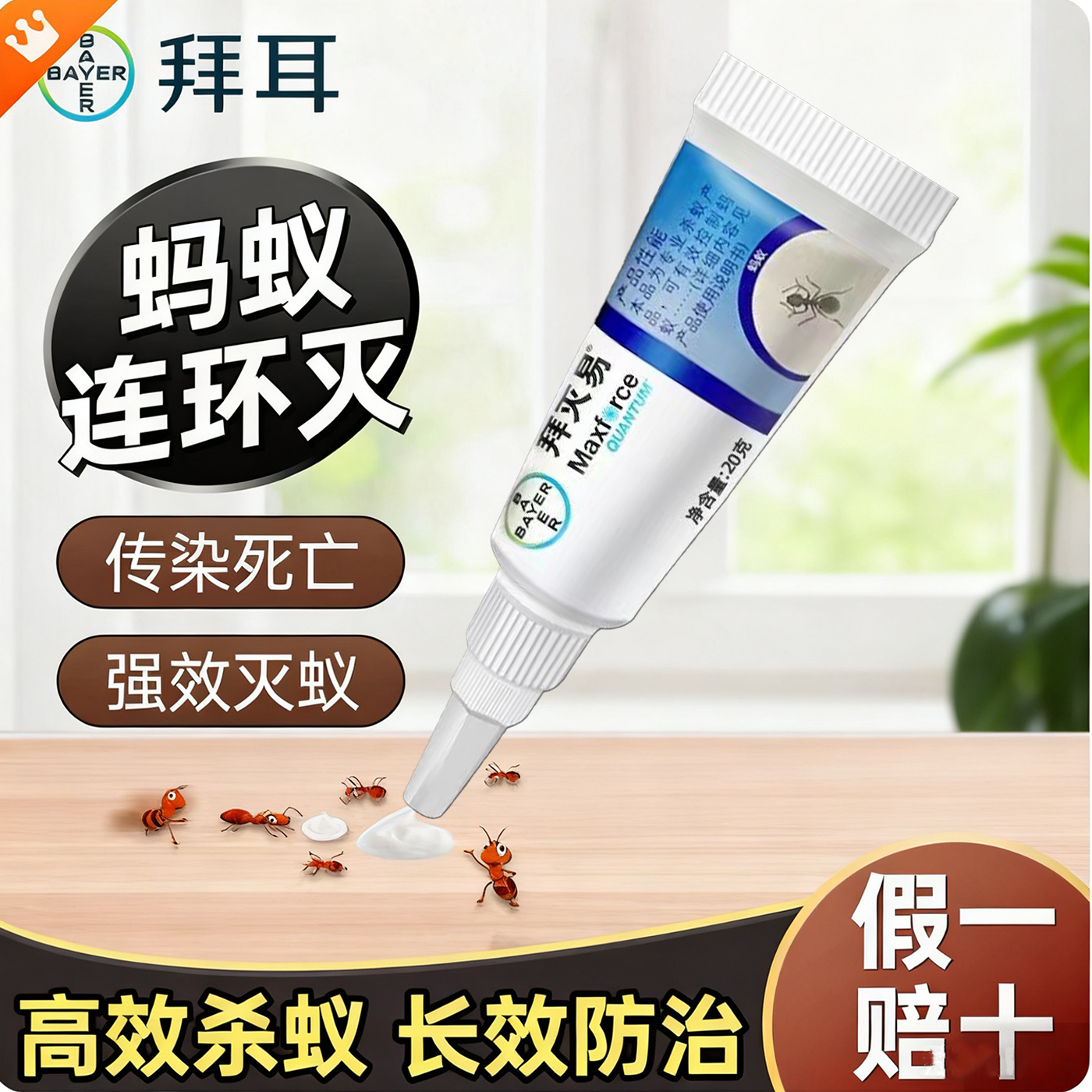 拜灭易德国拜耳蚂蚁药家用无毒
