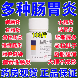 盐酸小檗碱片100片肠胃炎结肠炎特效I药泻药拉肚子特效I药成人