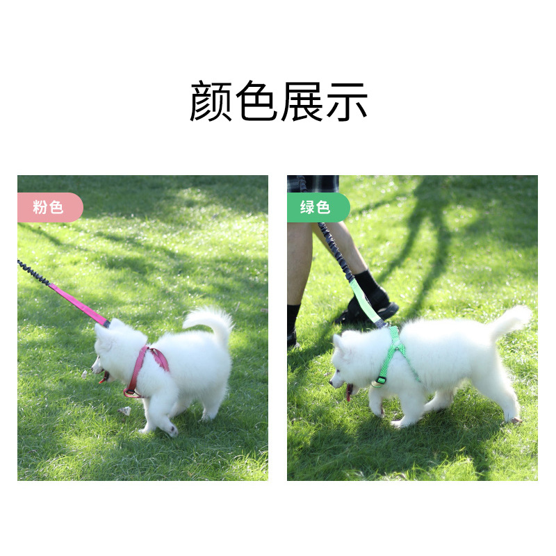 狗狗跑步牵引绳夜光反光宠物缓冲弹力遛狗绳套装防爆冲不勒腰