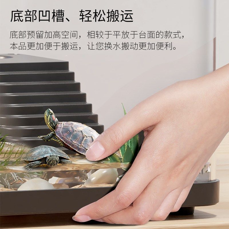 乌龟饲养缸家用小型爬台龟苗饲养C盒发色盒养寄居蟹专用可视周转,宠物/宠物食品及用品,龟缸,淘宝优惠券,粉丝福利购,淘宝优惠卷