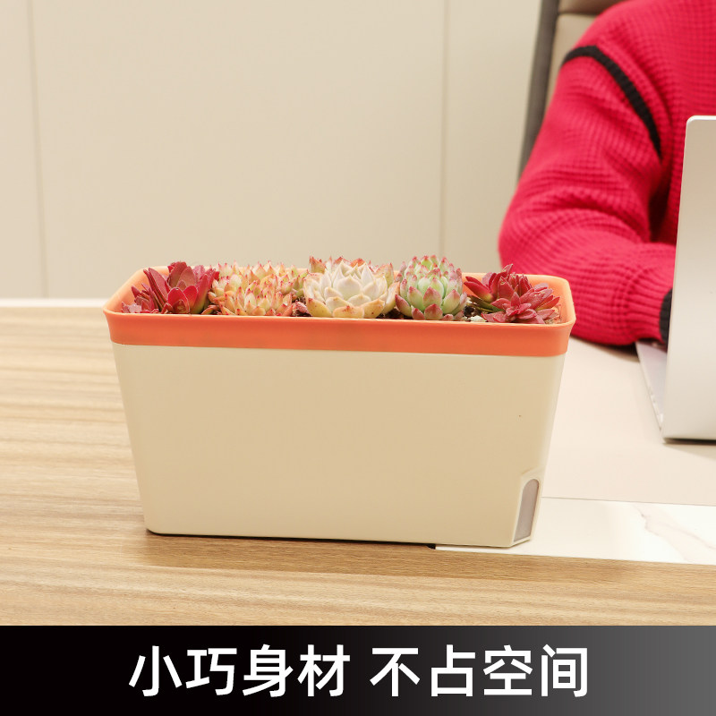 室内阳台自吸水小花盆种菜种植箱菜盆青菜小葱香R菜栽种辣椒专用