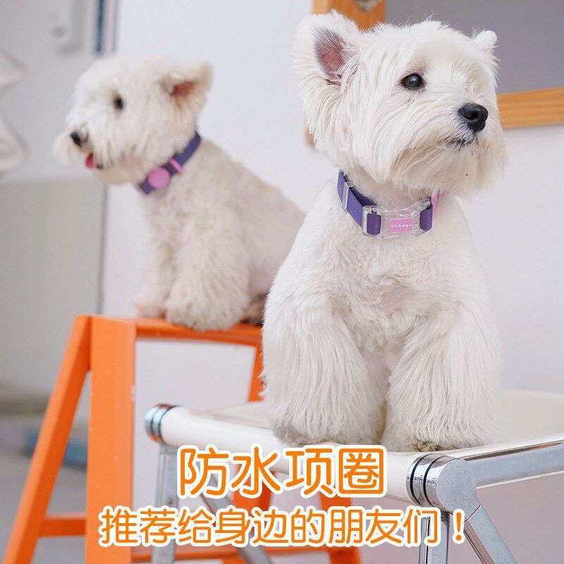BORORO多巴胺宠物项圈硅胶脖圈小狗颈圈防水柴犬泰迪宠物用品