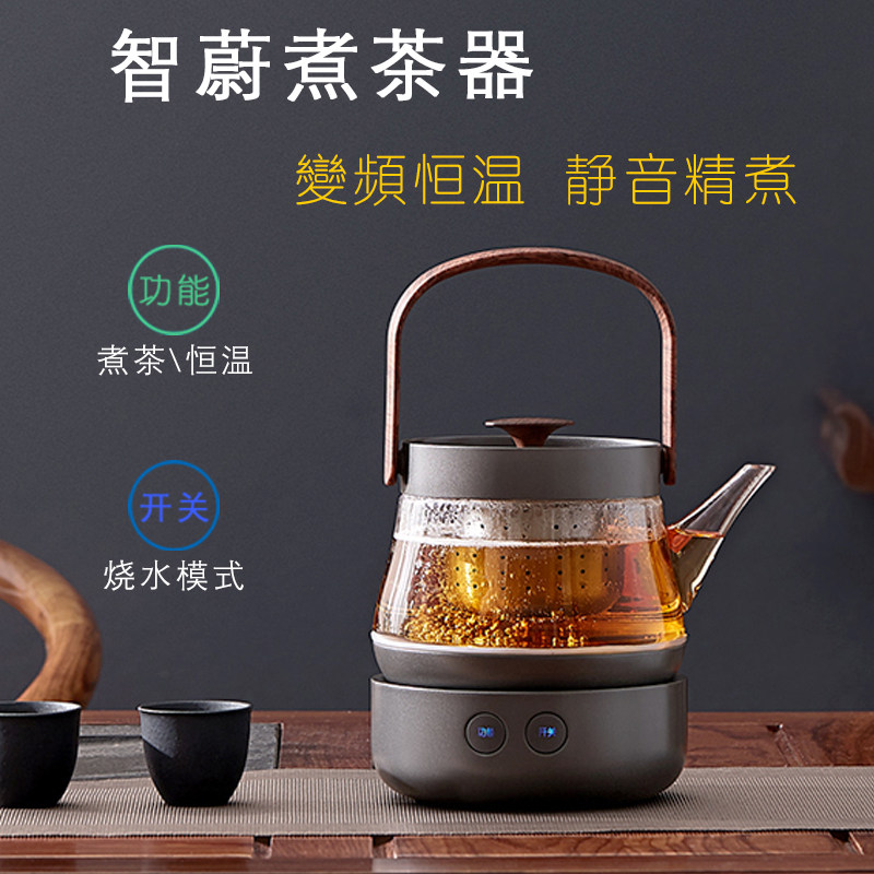 智蔚玻璃烧水壶家用煮茶壶陈皮白茶专用静音煮茶器办公室小型养生图片