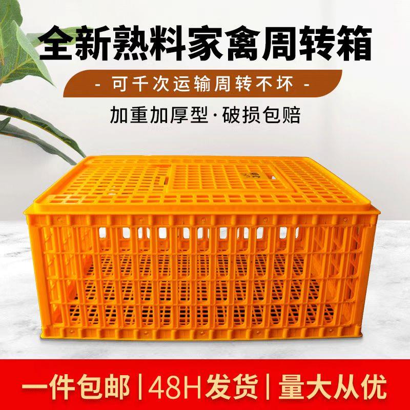 鸡笼家禽运输筐鸡用加厚大号塑料家用养殖鸡鸭鹅兔子运输笼周转箱