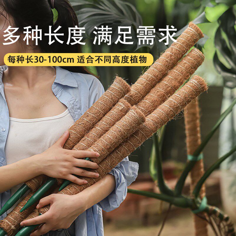 龟背竹支撑杆植物攀爬棕榈柱椰丝棒绿萝爬藤支架固定椰棕棒花架