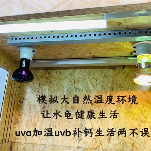 乌龟饲养箱宠物龟缸爬宠箱保温龟箱生态黄缘实木守宫蜥蜴蛇鬃狮箱